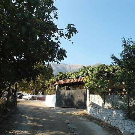 Eva Apartments Dhermi Exterior photo