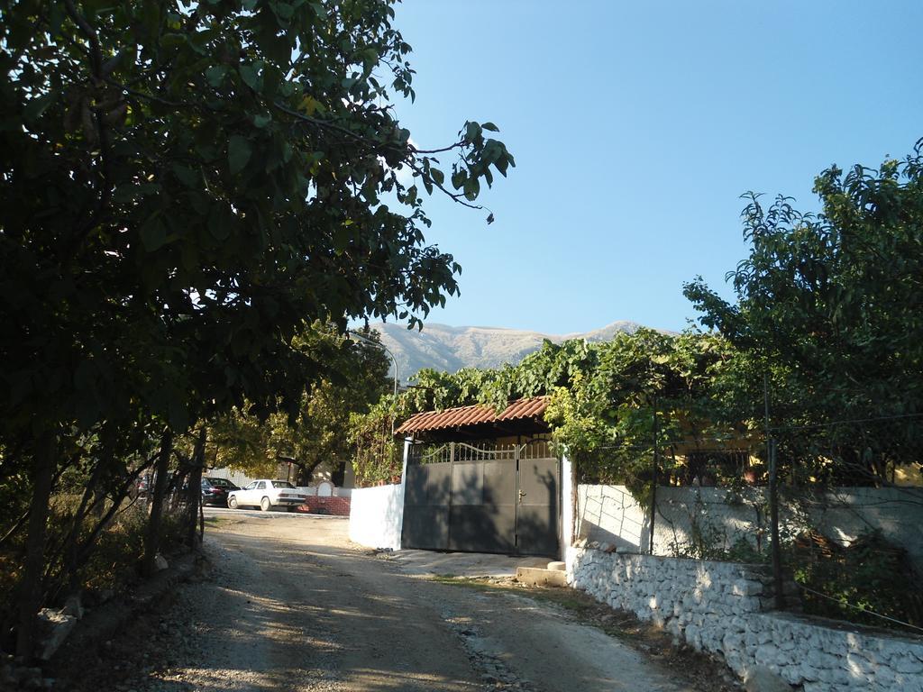 Eva Apartments Dhermi Exterior photo