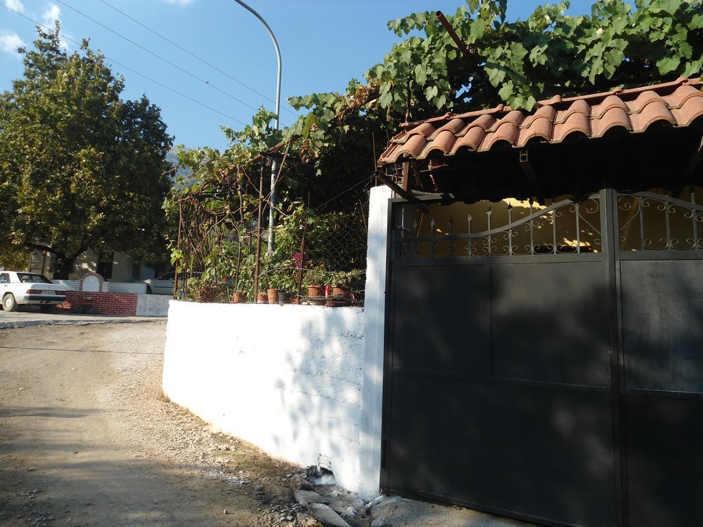 Eva Apartments Dhermi Exterior photo